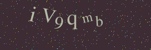 Validation image